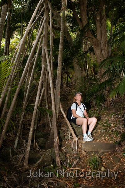 Lord Howe Island_20061210_009.jpg